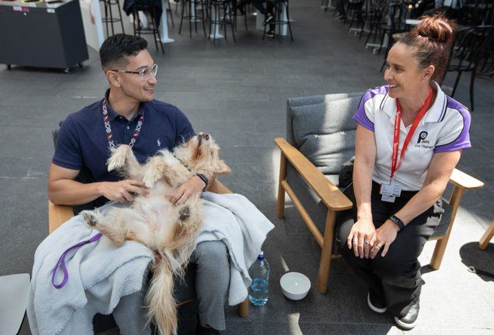Two volunteers seated with their dogs