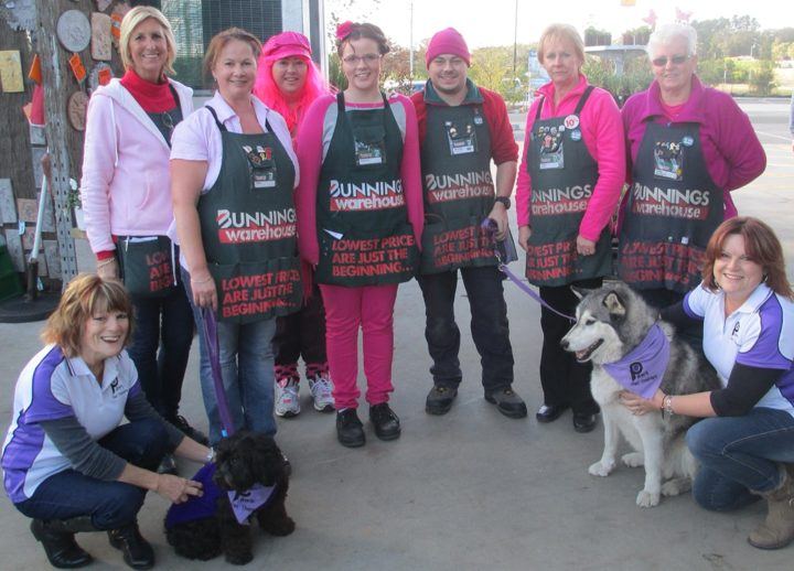 Volunteers in pink with their dogs at a fundraiser