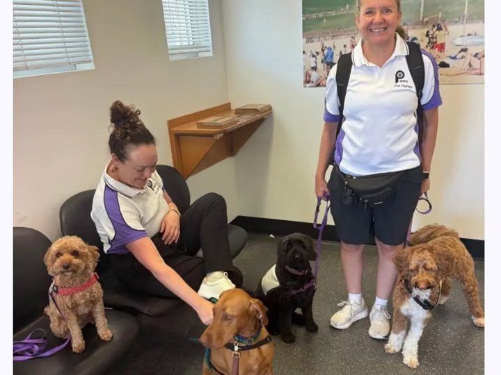 Volunteers with their dogs at a training day