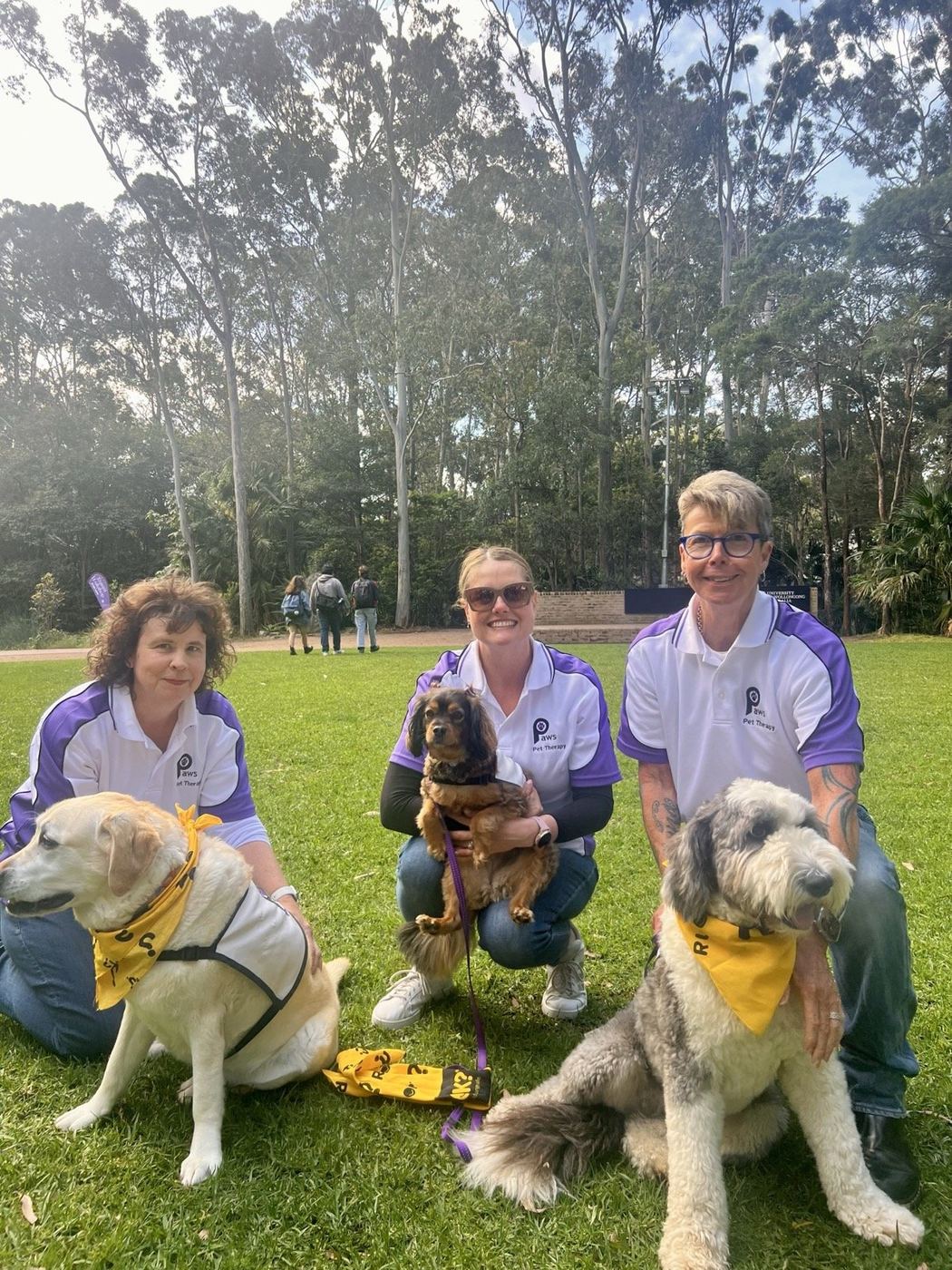 Two PAWS volunteer teams and their dogs outdoors