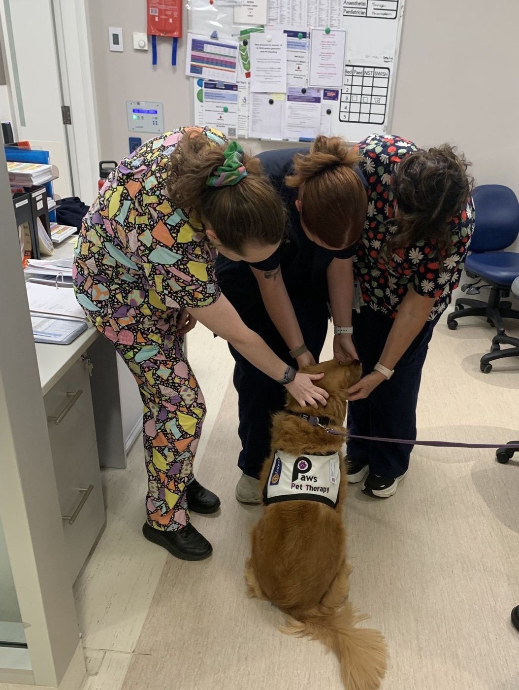 A volunteer adjusting her PAWS therapy dog's vest before a visit