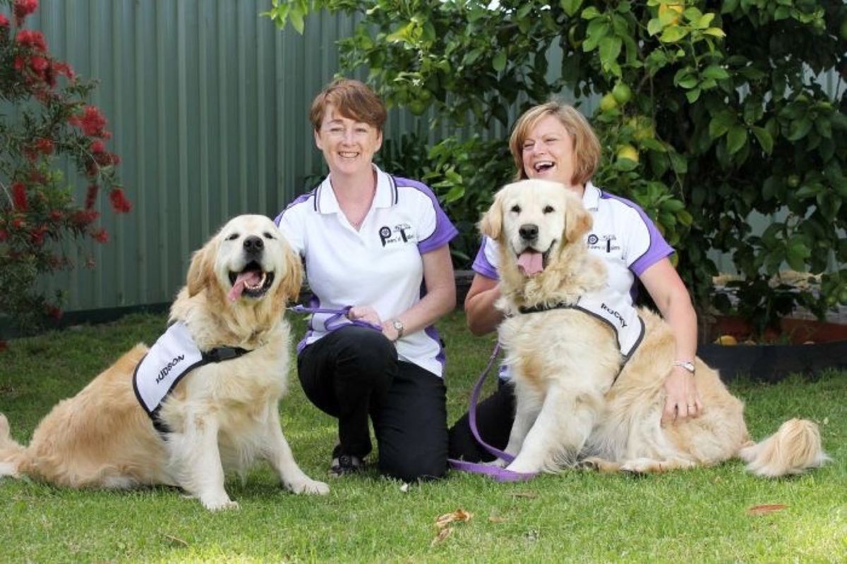 Two PAWS volunteers with their golden retriever therapy dogs