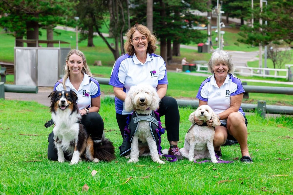 Three PAWS volunteers with their therapy dogs in a park