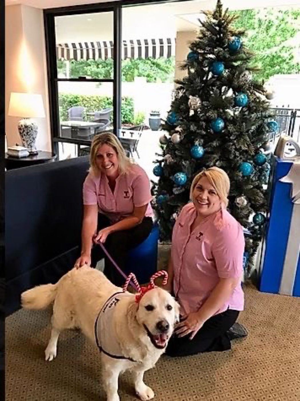 Volunteers and a dog beside a Christmas tree