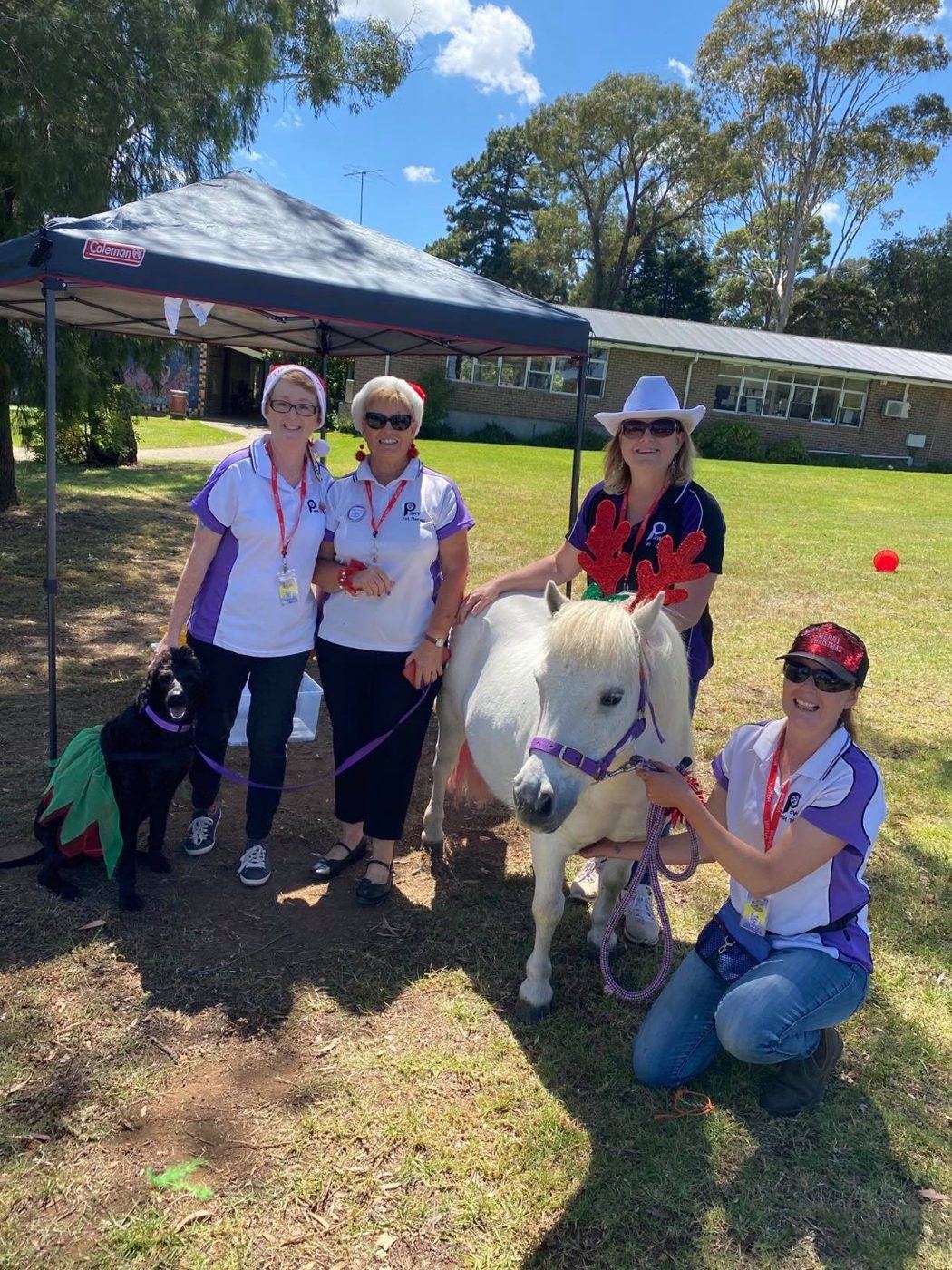 Volunteers with a pony and dogs at an outdoor event